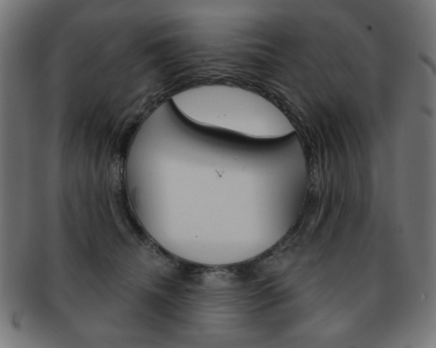 X0000092010468200709061313