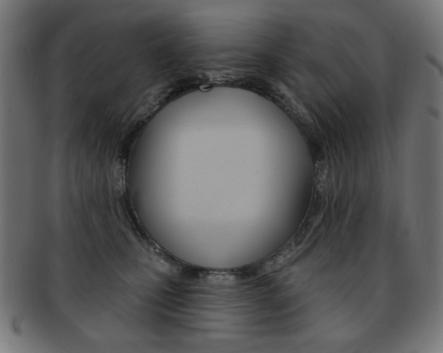 X0000092010471200709061313