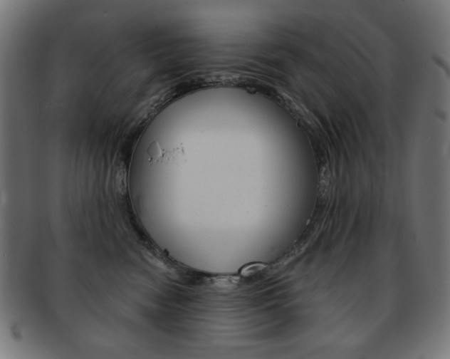 X0000092010474200709061313