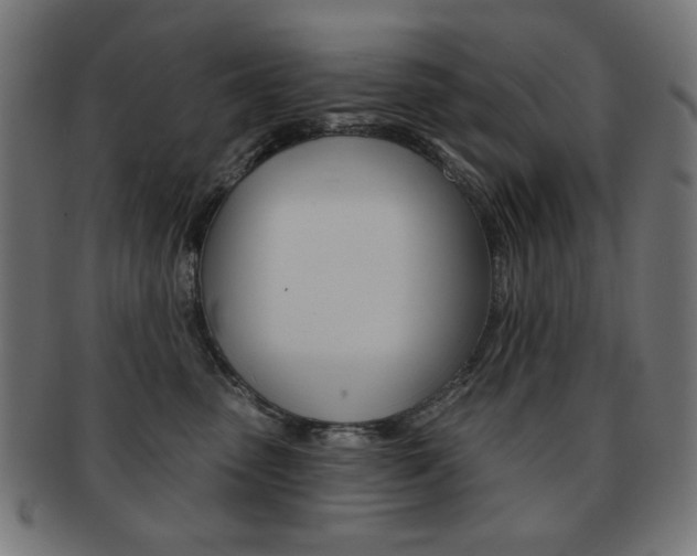 X0000092010475200709061313