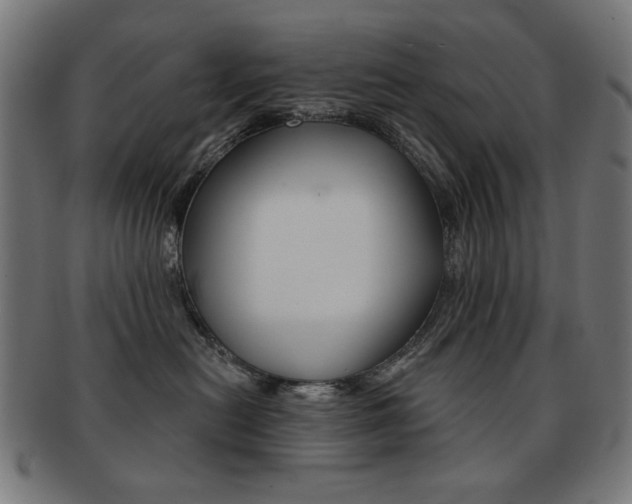 X0000092010478200709061313