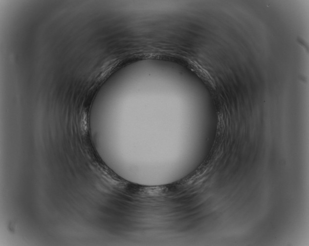 X0000092010479200709061313