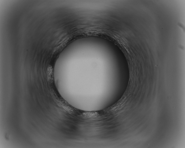 X0000092010480200709061313
