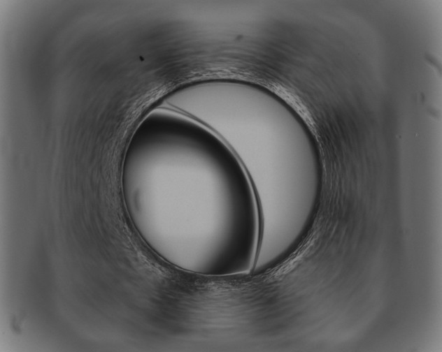 X0000092010481200709061312