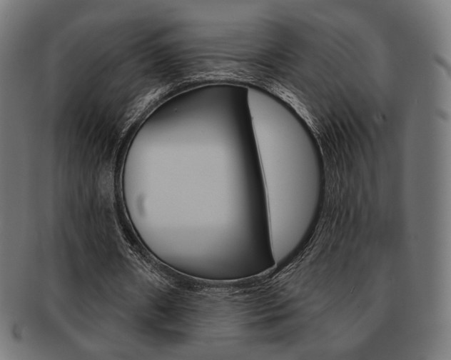 X0000092010482200709061312
