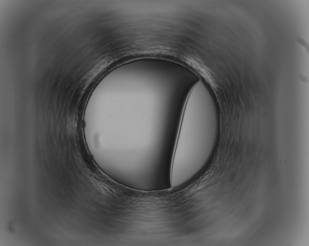 X0000092010483200709061312