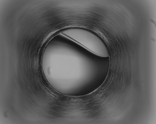 X0000092010484200709061312