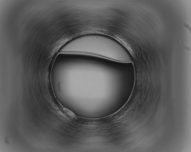 X0000092010485200709061312