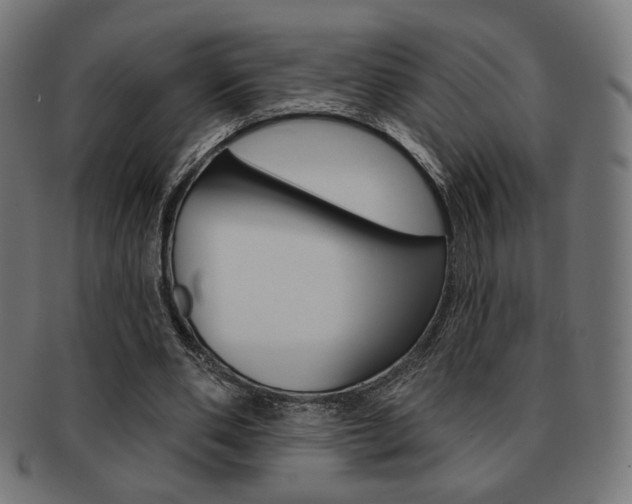 X0000092010486200709061312