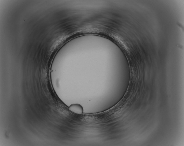 X0000092010487200709061312