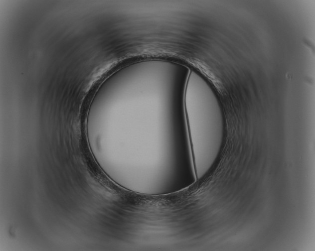 X0000092010488200709061312