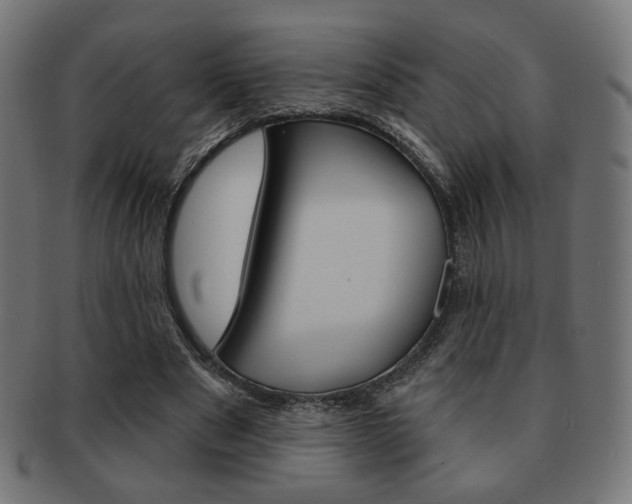 X0000092010489200709061312