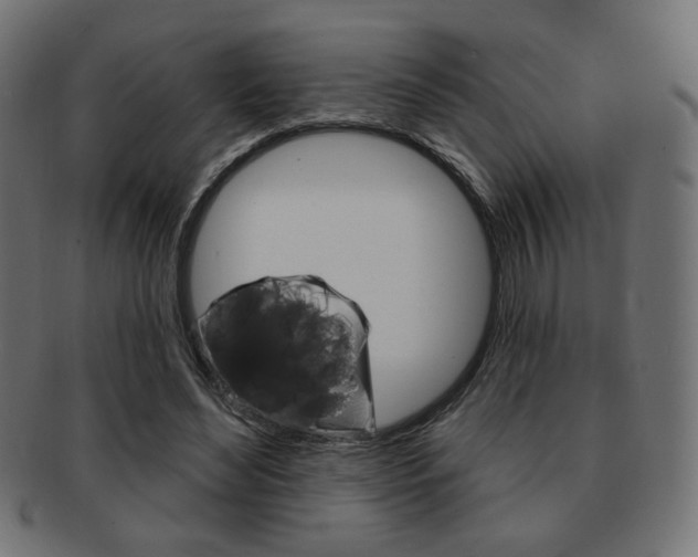 X0000092010492200709061312