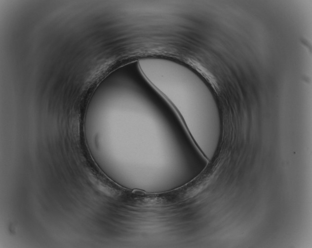 X0000092010493200709061312
