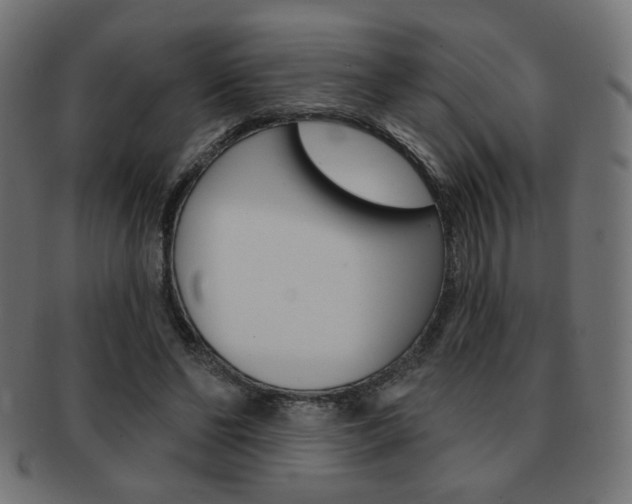 X0000092010494200709061312