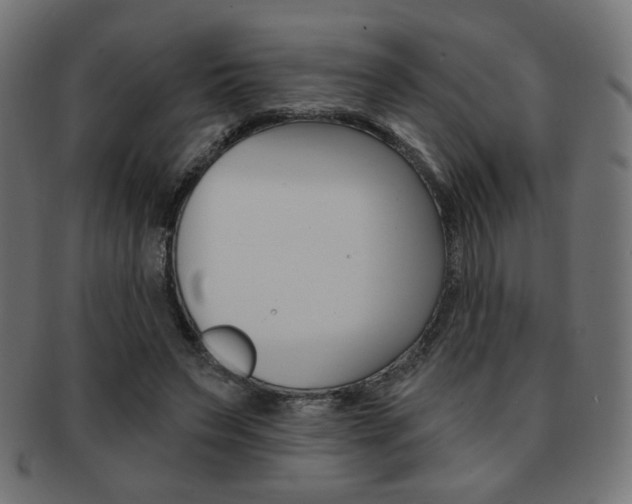 X0000092010495200709061312