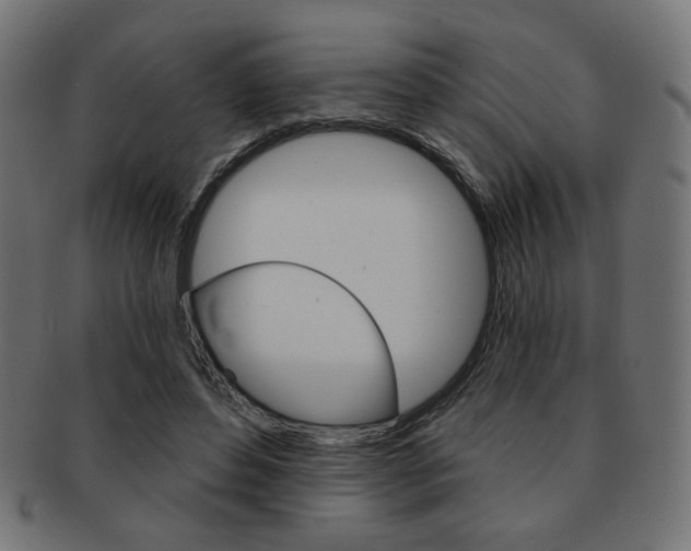 X0000092010496200709061312