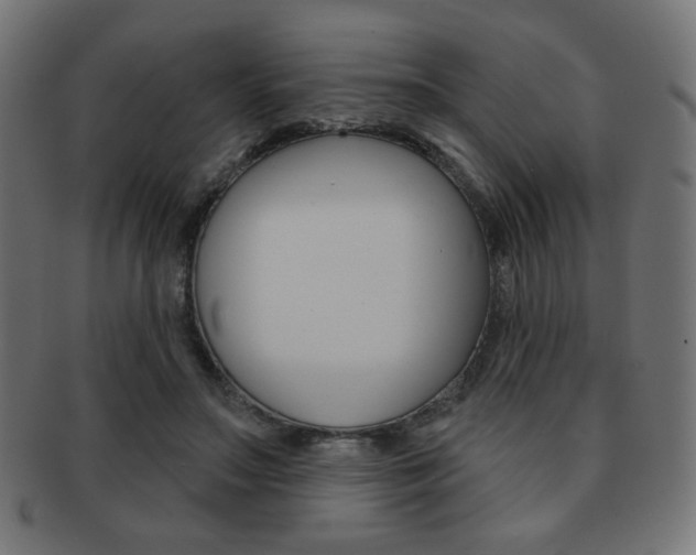 X0000092010499200709061312
