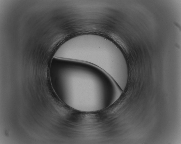 X0000092010501200709061312