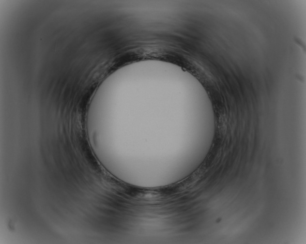 X0000092010506200709061312