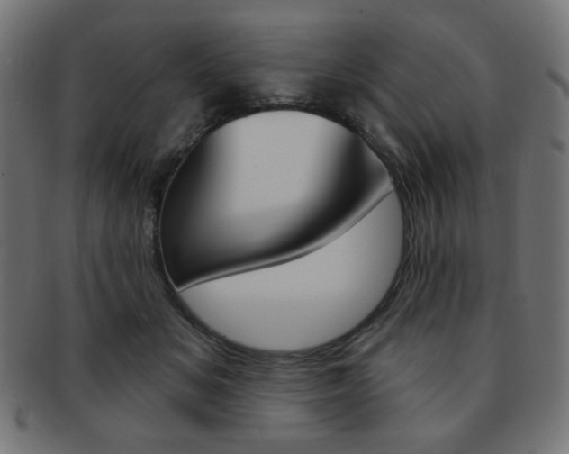 X0000092010509200709061312