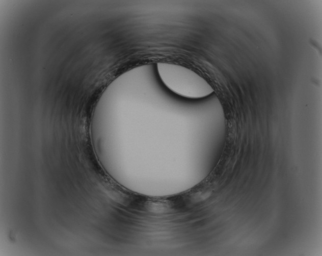 X0000092010510200709061312