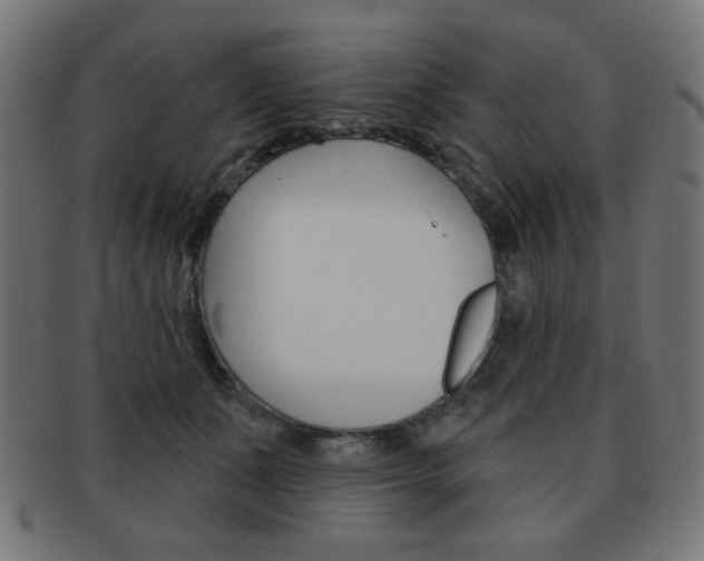 X0000092010511200709061312