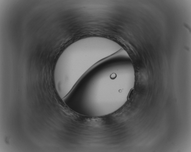 X0000092010517200709061312