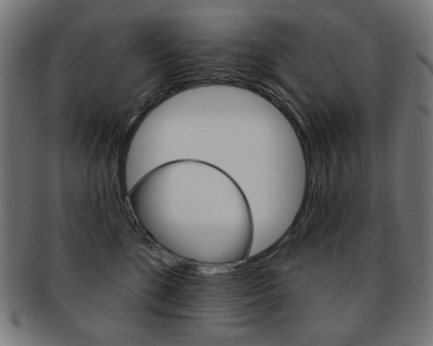 X0000092010520200709061312