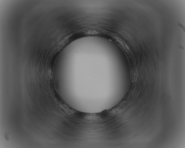 X0000092010521200709061312