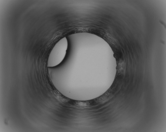 X0000092010522200709061312