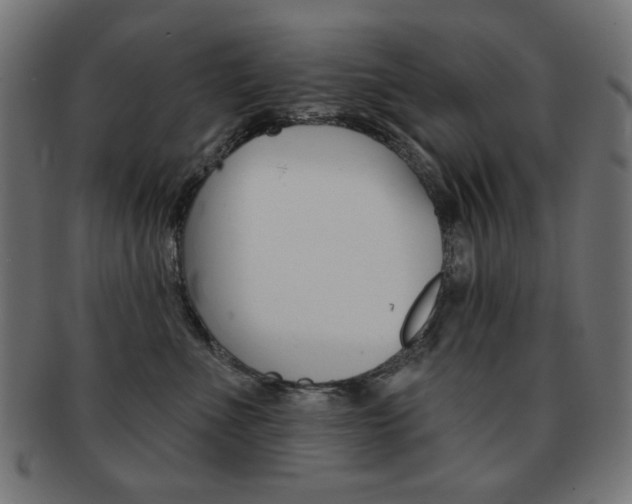 X0000092010523200709061312
