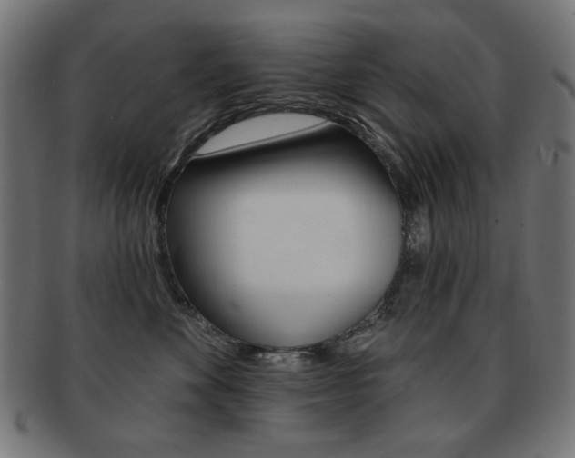 X0000092010524200709061312