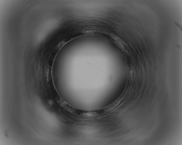 X0000092010525200709061312