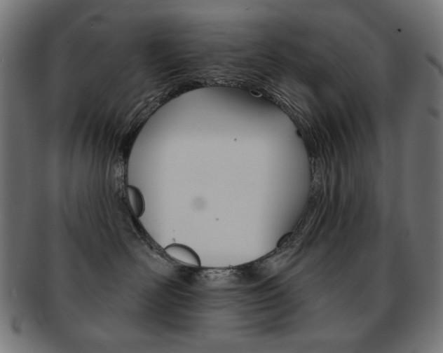 X0000092010526200709061312