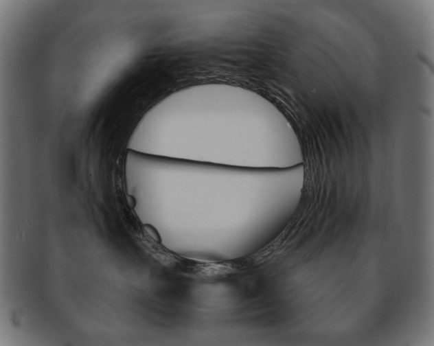 X0000092010527200709061312