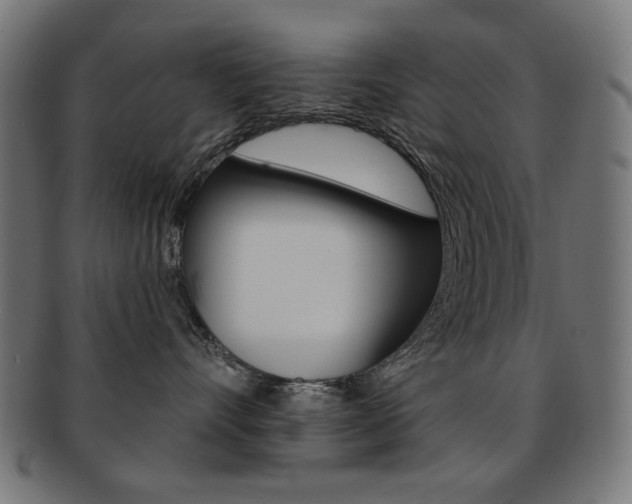 X0000092010528200709061312