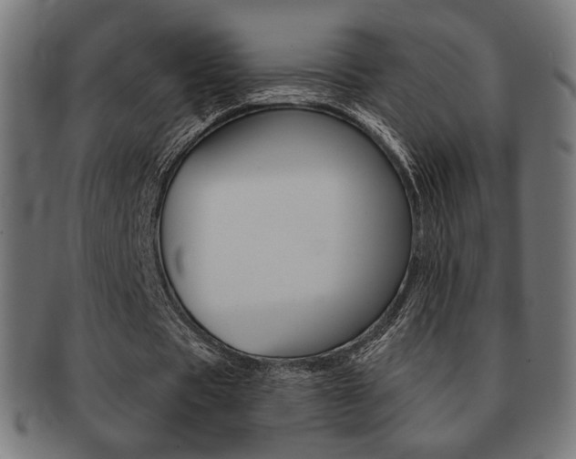 X0000092010529200709061311