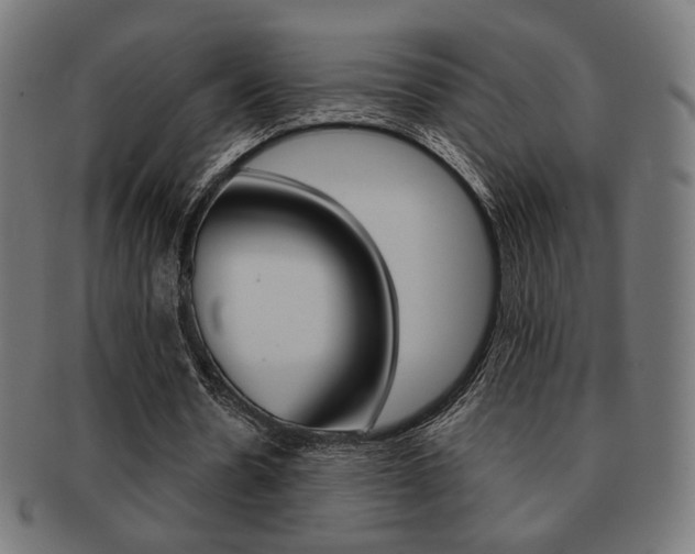 X0000092010530200709061311