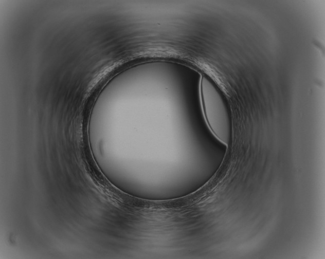 X0000092010531200709061311