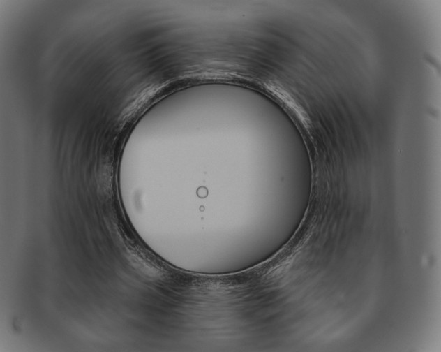 X0000092010533200709061311