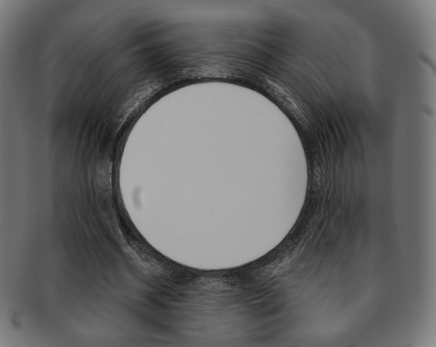 X0000092010534200709061311