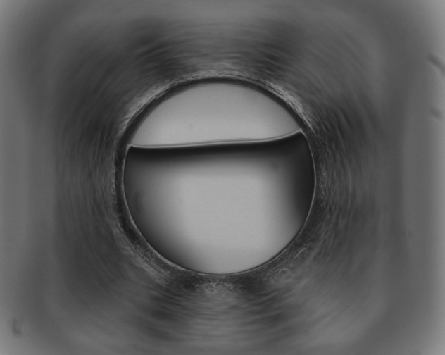 X0000092010535200709061311