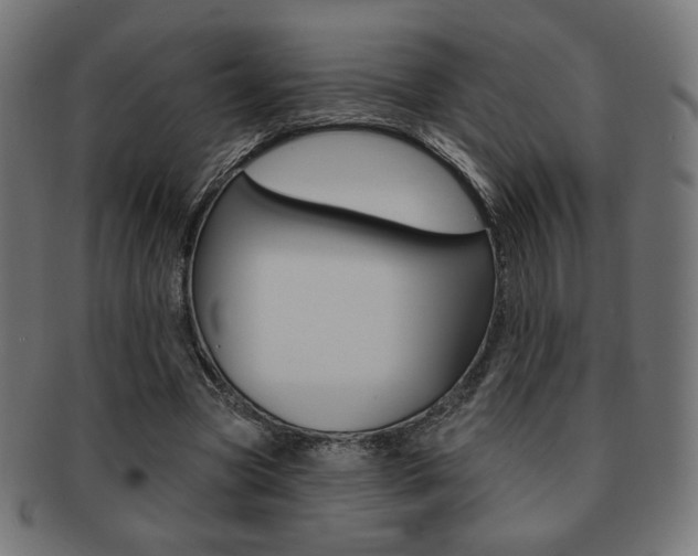 X0000092010537200709061311
