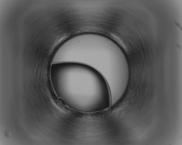 X0000092010538200709061311