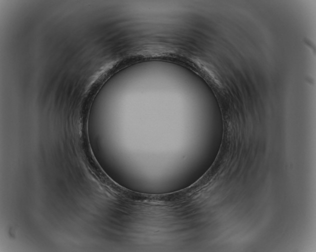 X0000092010539200709061311