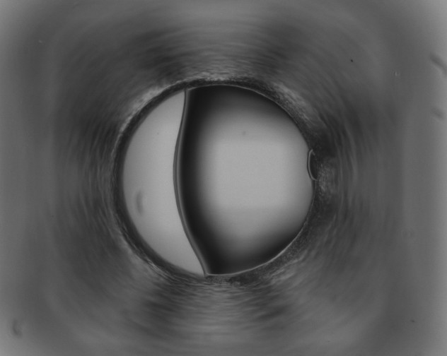 X0000092010540200709061311