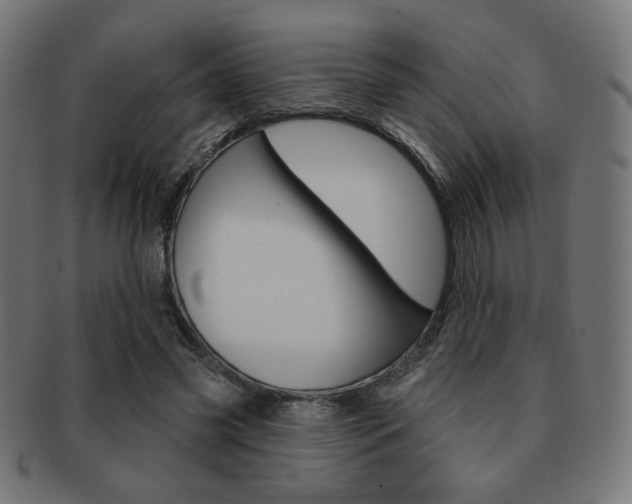 X0000092010541200709061311