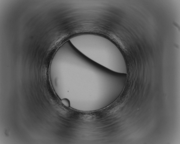 X0000092010542200709061311