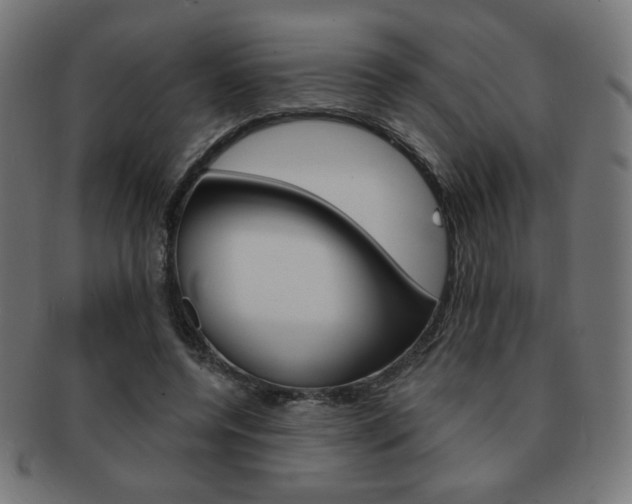 X0000092010544200709061311